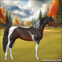 Horse Color:Brown Tobiano 