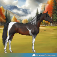 Horse Color:Brown Tobiano