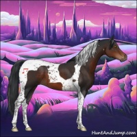 Horse Color:Brown Tobiano 