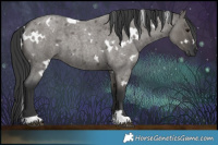 Horse Color:White Spotted Grullo Roan