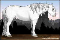Horse Color:Black Sabino