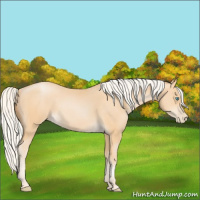 Horse Color:Silver Smoky Black Pearl 
