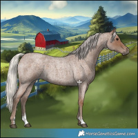 Horse Color:Silver Blue Roan Sabino 
