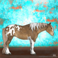 Horse Color:Chocolate Palomino Tobiano Blanket 