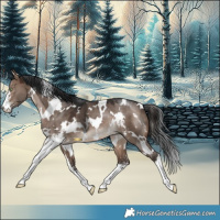 Horse Color:White Spotted Brown Dun Sabino