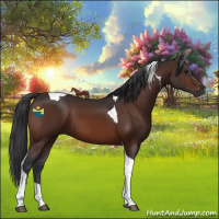 Horse Color:Brown Tobiano 
