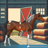 Horse Color:Brown Tobiano 