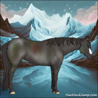 Horse Color:Smoky Black Mushroom 