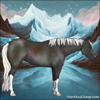 Horse Color:Liver Chestnut Mushroom 