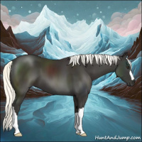 Horse Color:Liver Chestnut Mushroom 