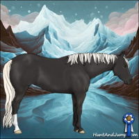 Horse Color:Liver Chestnut Mushroom 