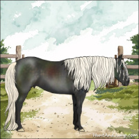 Horse Color:Liver Chestnut Mushroom 