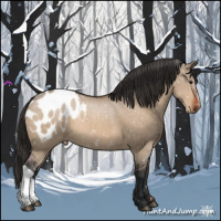 Horse Color:Brown Dun Appaloosa