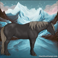 Horse Color:Liver Chestnut Mushroom 