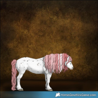 Horse Color:Painted White Spotted Silver Brown Sabino