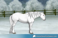 Horse Color:Gray Silver Amber Champagne Chinchilla Dun Tobiano 
