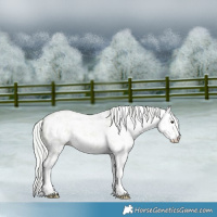 Horse Color:Watercolor White Spotted Silver Brown Dun Sabino