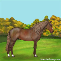 Horse Color:Liver Chestnut Sabino 