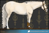 Horse Color:Palomino Pearl 