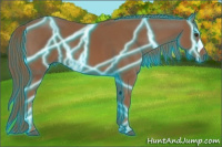 Horse Color:Thunderstruck Chestnut 