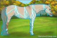 Horse Color:Thunderstruck Red Dun 
