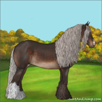 Horse Color:Silver Brown 
