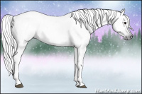 Horse Color:Gray Black 