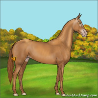 Horse Color:Gray Gold Champagne 