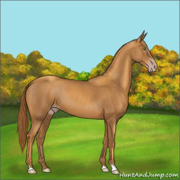 Horse Color:Gray Gold Champagne 