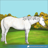 Horse Color:Silver Classic Cream Champagne Roan Pearl Dun Blanket 