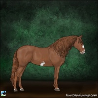 Horse Color:Chestnut Splash Frame 
