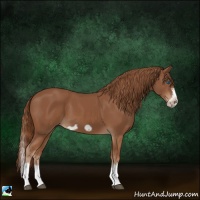 Horse Color:Chestnut Splash Frame