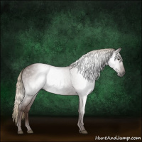 Horse Color:Gray Red Roan
