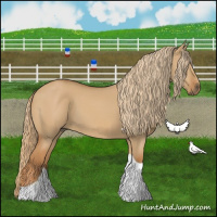 Horse Color:Red Dun Tobiano