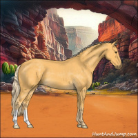 Horse Color:Palomino 