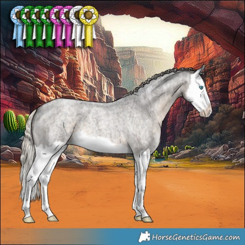 Horse Color:Silver Smoky Blue Ice Roan Splash