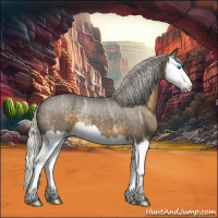 Horse Color:Silver Smoky Blue Ice Roan Splash 