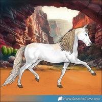 Horse Color:Buckskin Ice Pearl Splash