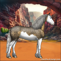 Horse Color:Silver Smoky Black Splash 