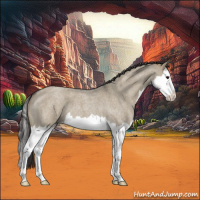 Horse Color:Smoky Grullo Roan Splash 
