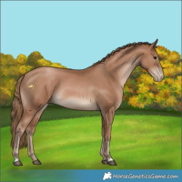 Horse Color:Black Pearl 