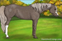Horse Color:Silver Black 