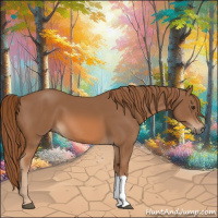Horse Color:Chestnut 