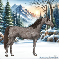 Horse Color:Liver Chestnut Ice Sabino 