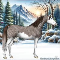 Horse Color:Liver Chestnut Ice Splash