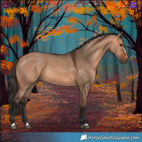 Horse Color:Bay Dun Rabicano 
