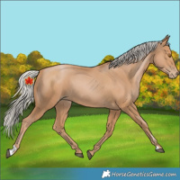 Horse Color:Silver Black Pearl 