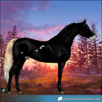 Horse Color:White Spotted Buckskin Dun Blanket 