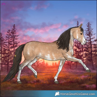 Horse Color:White Spotted Bay Dun 
