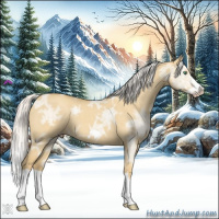 Horse Color:Silver Classic Cream Champagne Ice Dun Splash Frame 